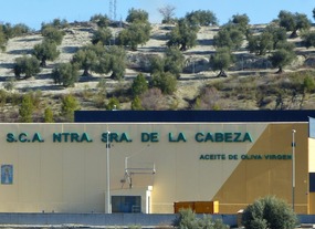 Olive oil factory