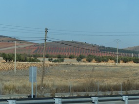 Vines - Valdepenas
