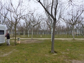Hundreds of pitches