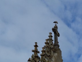 Stork on top