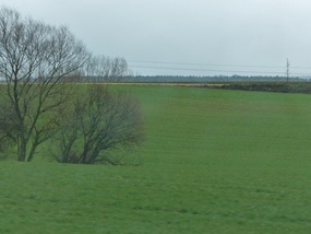 Yellow camino in distance