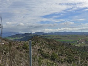 From lunch spot