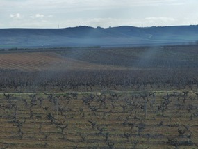 Miles of vineyards - Rioja