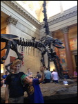 Dinosaur Fossils!!!