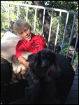 Annie, Maggies dog