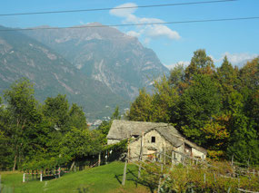 On the Alpine Train 