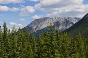 Mountain views from Sunshine Village Road
