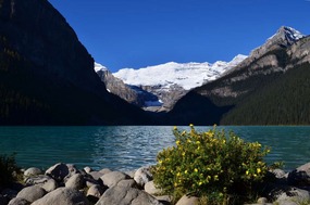 Lake Louise