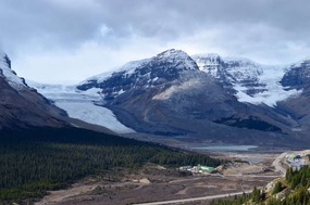 View of Athabasca and Dome Glaciers from trail