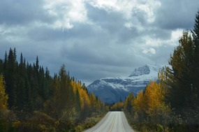 Homeward bound south on Icefields Parkway