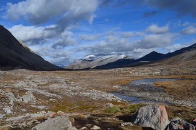 Wilcox Pass