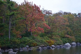 Frog Pond