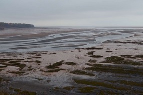 Mud flats at Walton