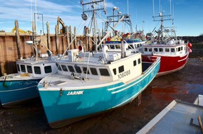 Low  tide in Alma harbour