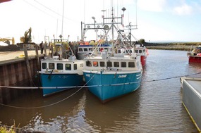 High tide in Alma harbour