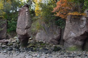 Hopewell Rock formations and cliffs