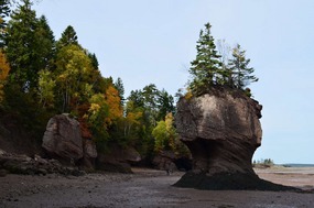 Hopewell Rock formation