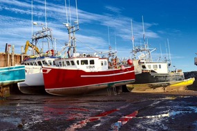 Low tide in Alma harbour