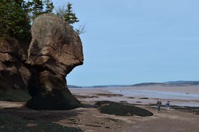Tide's out in Chignecto Bay