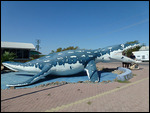Kronosaurus at the Korner