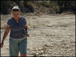 Fossil Finder