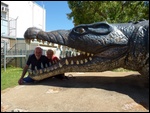 Kissing Krys the croc in Normanton