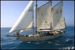 Derwent Hunter