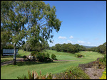Anyone for Golf  ?