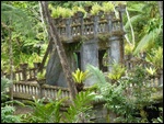 Castle ruins in the rainforest gardens
