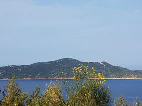 Coast view between Dubrovnik & Ston