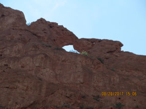 Kissing Camels (GotG's)