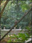 01 In de botanische tuin