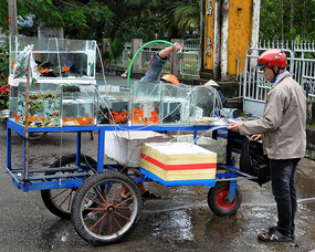 Portable Aquarium Dealer