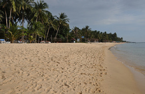 Beach Paradise?