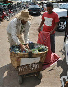 Buying Out The Watermelon Inventory