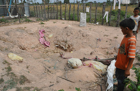 Fish Pond After The Flooding