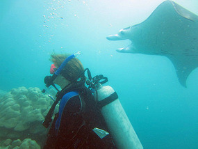 "Viiiiiiiiiiic.....I Can't See Any Rays"