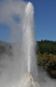 Lady Knox Geyser 