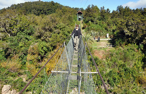Longest Suspension Bridge In NZ