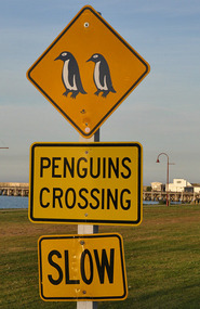 Real Sign- Just About Ran Over One