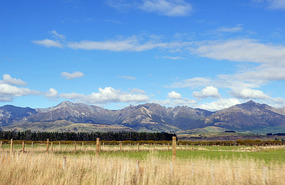 Drive To Dunedin