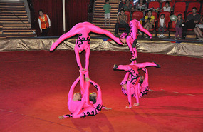 Contortionists