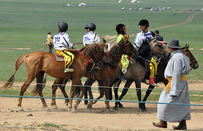 Competitors