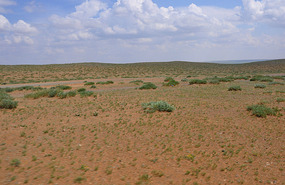 The Gobi