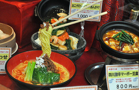 Plastic Noodle Display