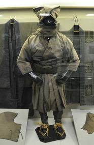 Ninja Disguise