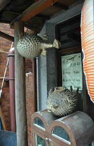 Pufferfish On Offer
