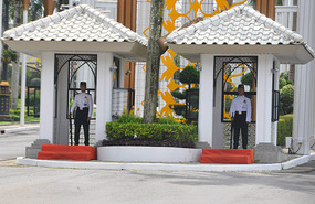 Palace Guards