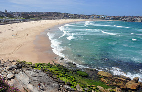 Bondi Topless Beach