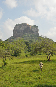 Lion Fortress At The Top